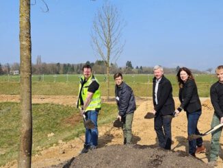 Bierstadt Nord: 83 Bäume gepflanzt, zentrale Grünanlage soll 2026 öffnen