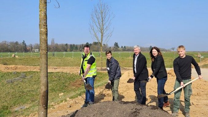 Bierstadt Nord: 83 Bäume gepflanzt, zentrale Grünanlage soll 2026 öffnen