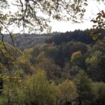 Eltville weist neuen 5,4 Kilometer langen Rundweg in Rauenthal aus