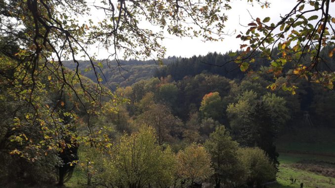 Eltville weist neuen 5,4 Kilometer langen Rundweg in Rauenthal aus Eltville weist neuen 5,4 Kilometer langen Rundweg in Rauenthal aus