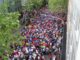 Gutenberg Halbmarathon sorgt für Sperrungen auf Theodor Heuss Brücke und in der Mainzer Innenstadt