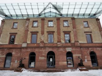 Selbst geschlagene Nordmanntannen aus dem Stadtwald am 13. Dezember