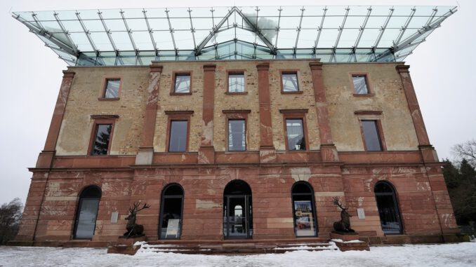 Selbst geschlagene Nordmanntannen aus dem Stadtwald am 13. Dezember Selbst geschlagene Nordmanntannen aus dem Stadtwald am 13. Dezember