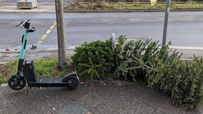 Wiesbaden holt Weihnachtsbäume ab: Termine, Regeln und Sonderaktion der Jugendfeuerwehren Wiesbaden holt Weihnachtsbäume ab: Termine, Regeln und Sonderaktion der Jugendfeuerwehren