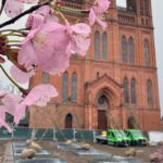 Wiesbaden setzt auf 24 neue Bäume und unterirdische Bewässerung auf dem Schlossplatz